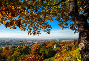 Dresden, , Deutschland, Germany, , , , , ,  ...