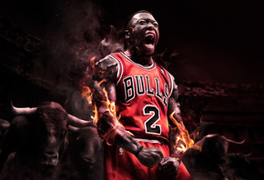 chicago bulls, Nate robinson, , , nba,  