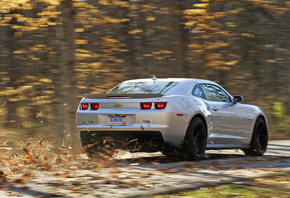 silvery, Chevrolet, road, zl1, , autumn,  1, camaro