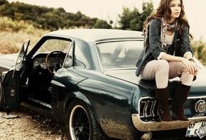 mustang, ,  