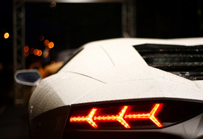 rain, back, , Lamborghini, lp700-4, , aventador, white,  ...