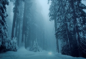 , , , , , , , , , , winter, nature, car, trees, snow, white, , , , , , HD wallpapers, background, wallpaper