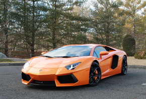 Lamborghini aventodor, Lamborghini, aventodor, , , 