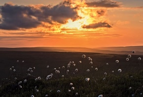 �����, ������, �����, ������