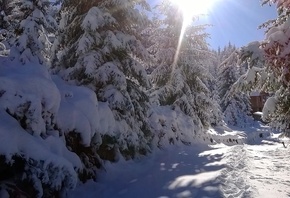 ����, �������, ���, �����, ����