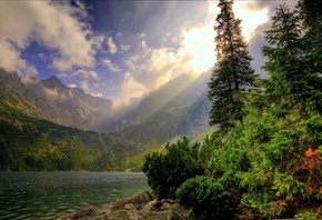 332896186, 66ku, 7jj