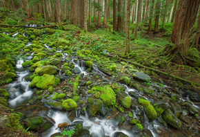 , , , , , Olympic national park