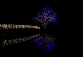 night, bridge, lights, wood, water, river, reflection, ночь, мост, дерево,  ...