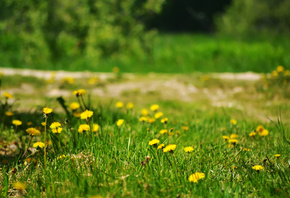 ����, �����, �����, �������, ����������