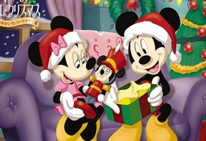 �������� ����������, ���� ����, ����, �������