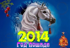 ����� ���, 2014, ��� ������