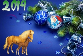 ����� ���, 2014, ��� ������