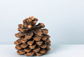 ������, �������