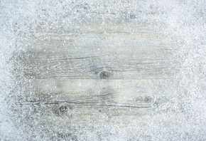 ����� ���, 2014