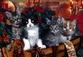 ��������� ������, � �������, ����� ������, ��� ���