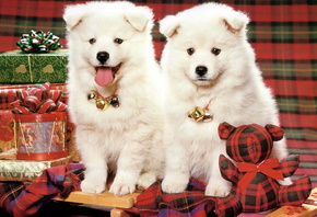 ����� ����� � ��������� ������, ����� ������� �� ����� ���