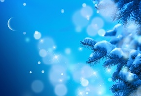 �����, �����, ����, ����