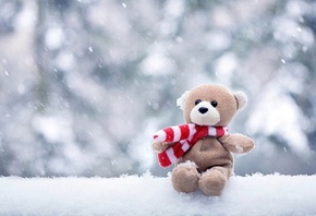 �����, ����� ���, ����, ��������, ����