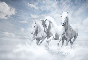 White Horses,  , 