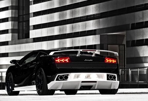 ���������, �����