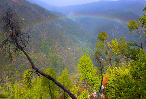 �������, ����, ������, ������������ .