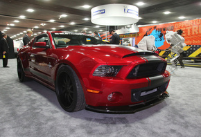 Ford, Shelbi, GT500, �������, ����, �����