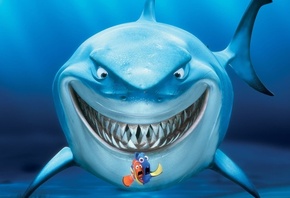 �����������, �������