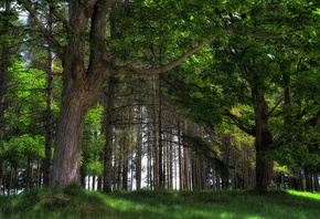 �������, ����, ���