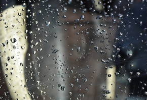 �����, �����, �����, ������, ���