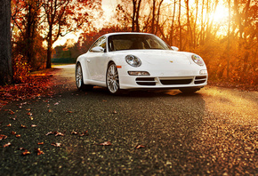 �����, �����, ������