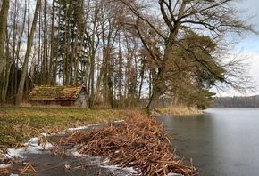 �����, � �����