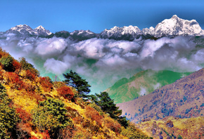 ������, ������