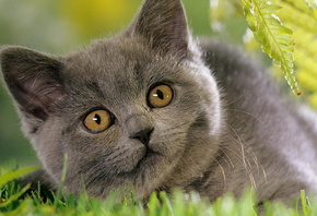 �, � ������