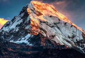 ����, ����, �������