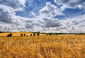 ����, ����, ������