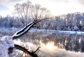 wonderland, nature landscape, cold season, branch, frozen forest, , Win ...