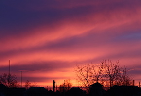 �����, �������