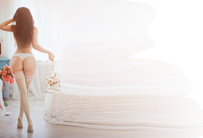 �����, �����, ��������, �����