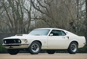 ����������, ������