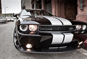 dodge challenger, , , , , , , 