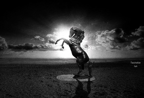 ����, ������, ������, ����, ������