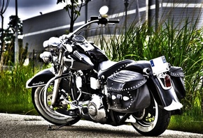 ��������, ����