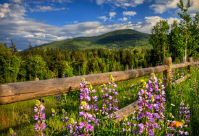 ����, ����, ���, �����, �����