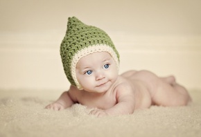 �������, ������, �������, ��������