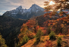 ����, ����, ������, �����