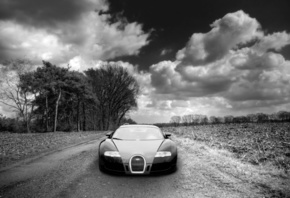 Bugatti Veyron, �������, ����, ��������, �������, ������, �������, ������