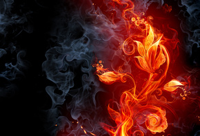 �����, ������, ���, ������, �������