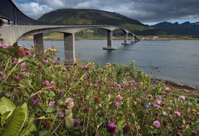 ��������, ����, �����, ����, ����, �����, ������, ���������, ����, ����