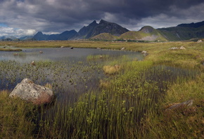 ��������, ����, �����, �����, ����, ���������, ����