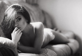 �������, ����, ������, ������, �����